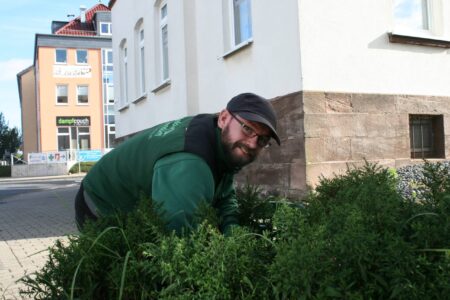 Zuverlässige Gartenpflege und Grünanlagenpflege im Stadtgebiet von Göttingen durch das Team von Bandelow & Uhlendorff.